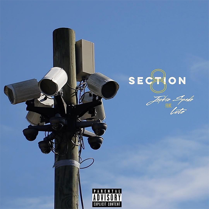 Section 8 Cover Art